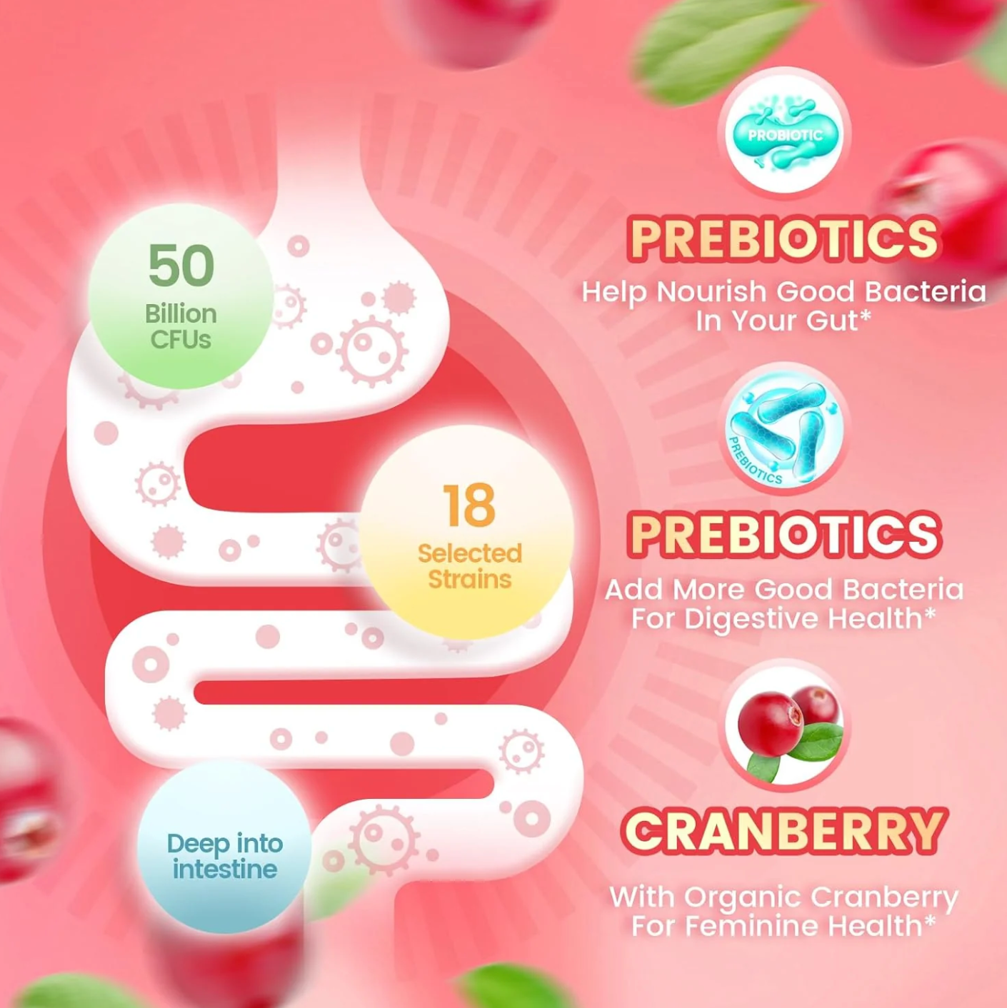 Premium Probiotic Gummies - Cranberry Flavor